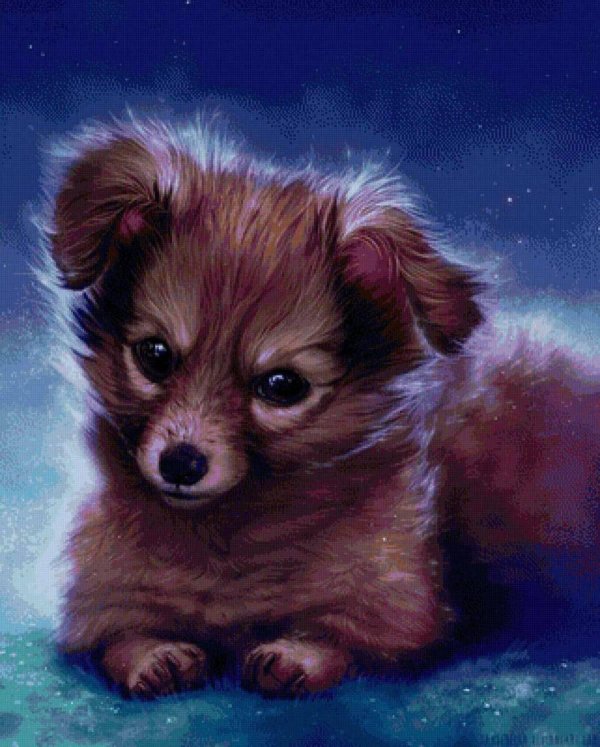 красивые рисунки животные