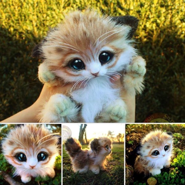 покажи самых милых животных