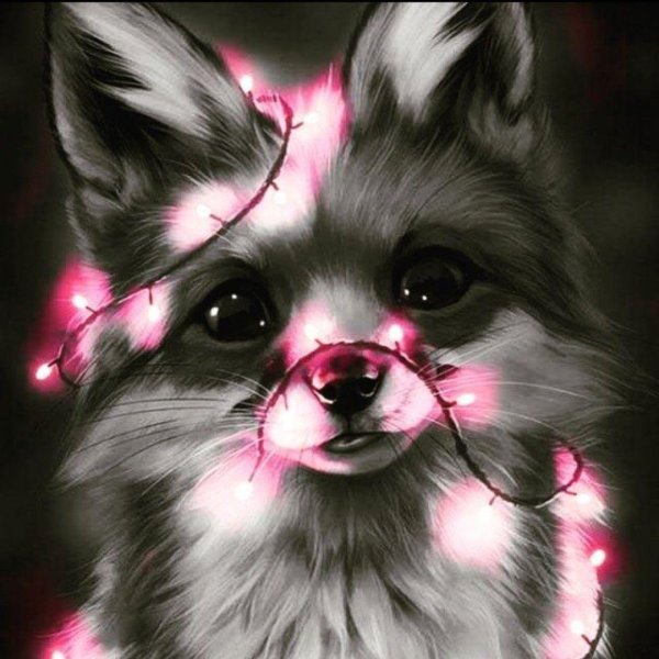 лиса с гирляндой