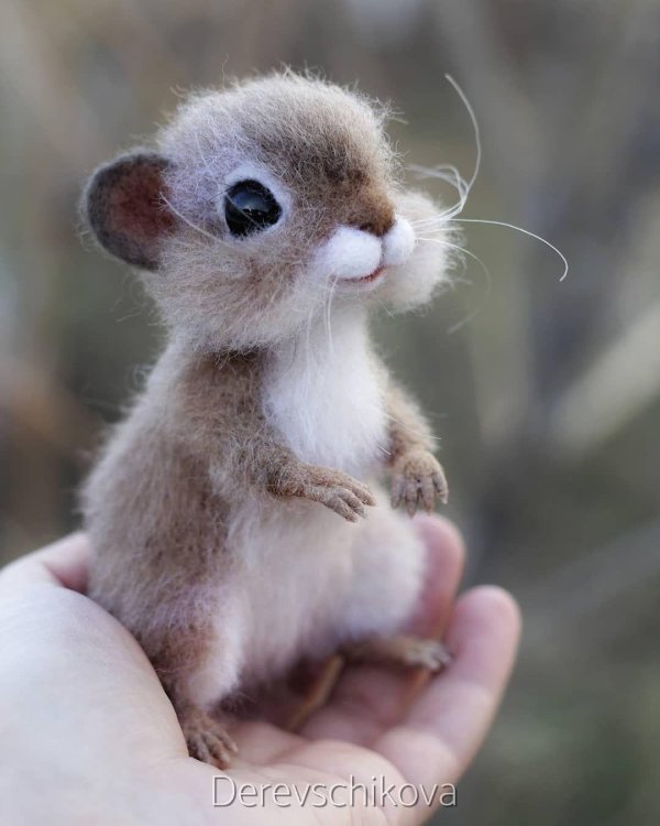 маленькие зверьки