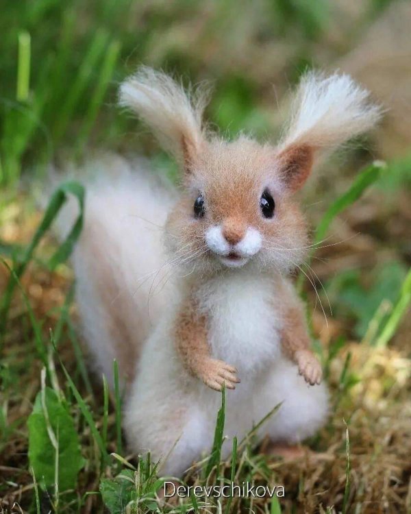 пушистые зверьки