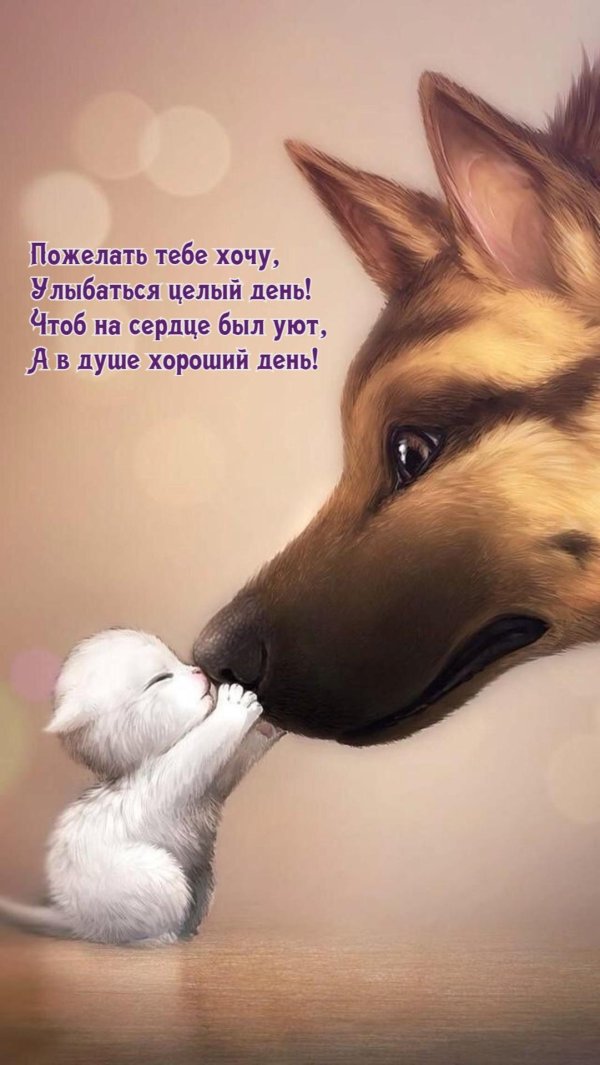 красивые рисунки животные