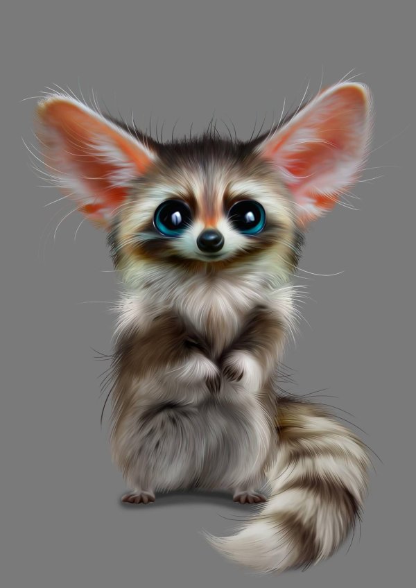 смешные зверюшки