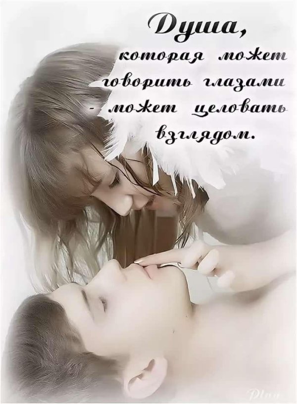 твои нежности