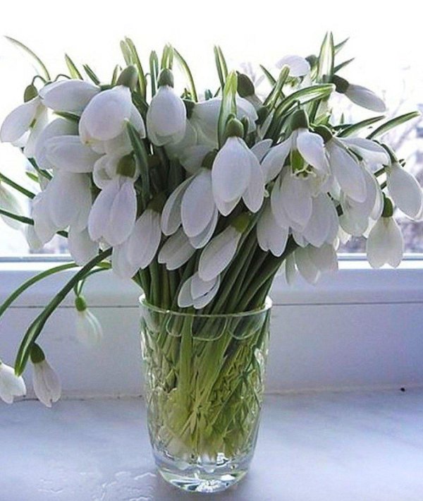 весенний букет подснежников