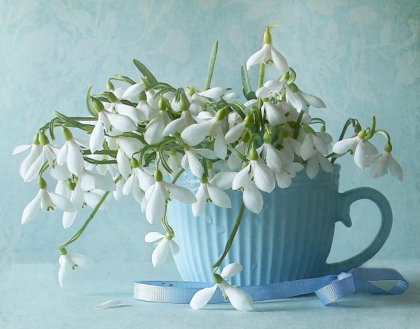 букет подснежников открытка