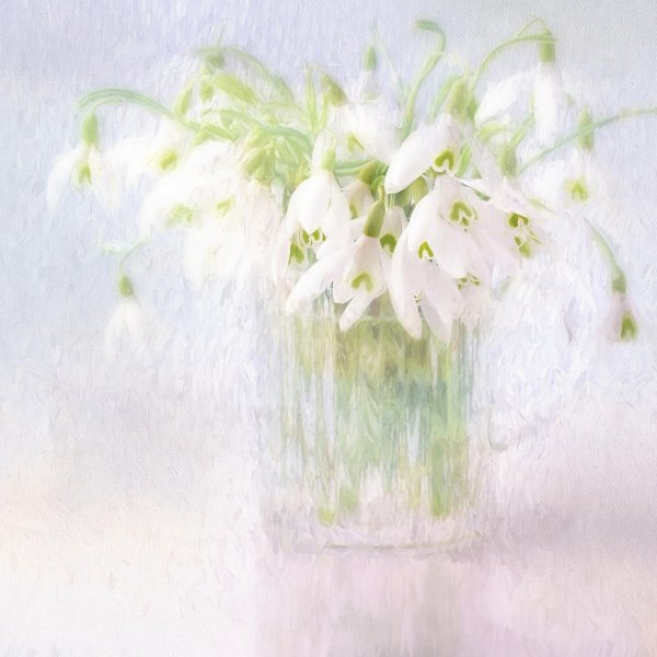 дыхание весны