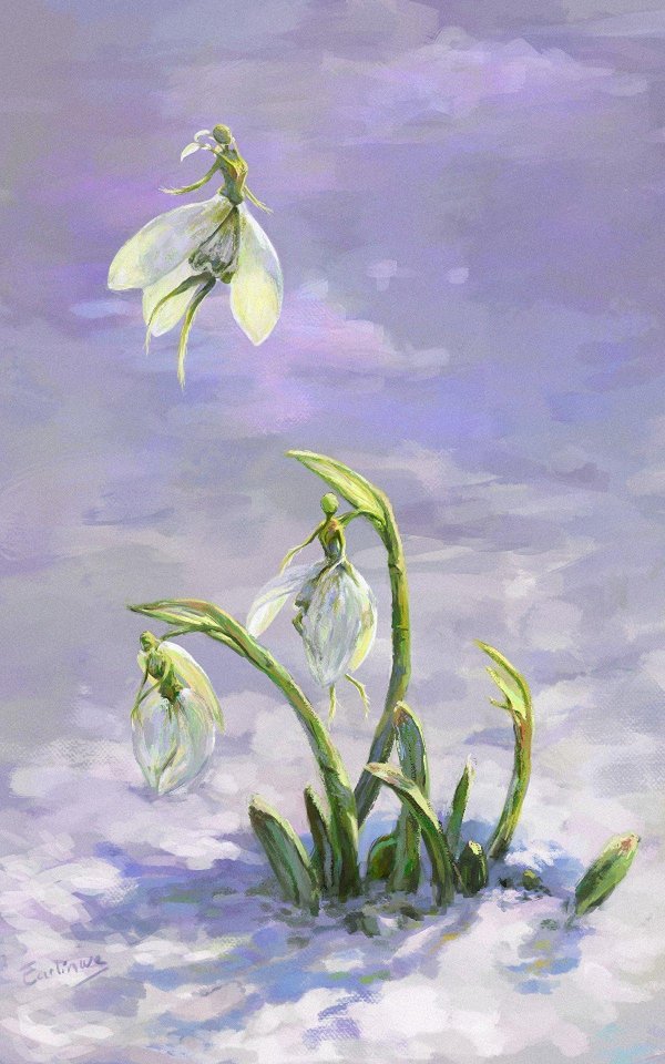 курундаков подснежники