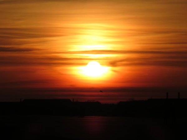 солнце восход