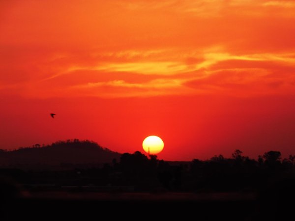 солнце восход