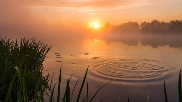 утренняя река