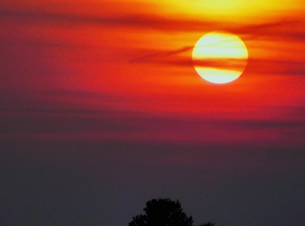 солнце восход