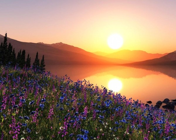 красивые рассветы