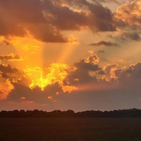 красивые рассветы