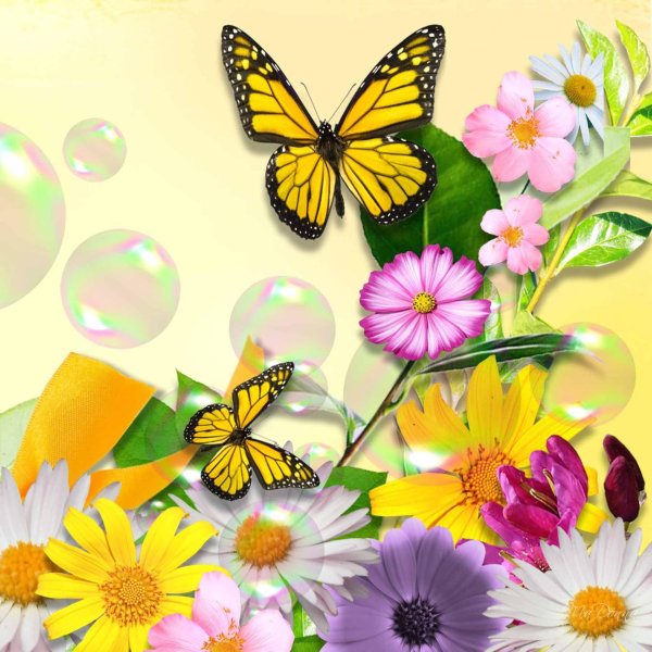 фон бабочек