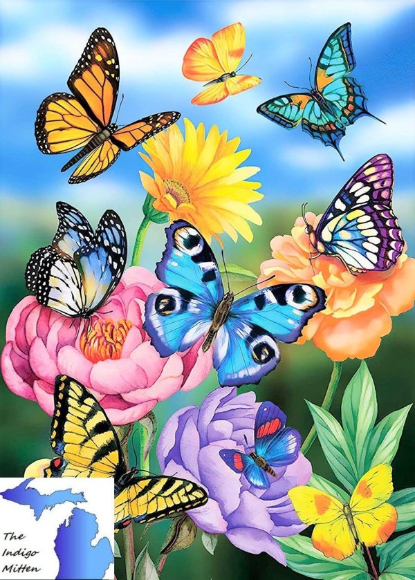 картины бабочек