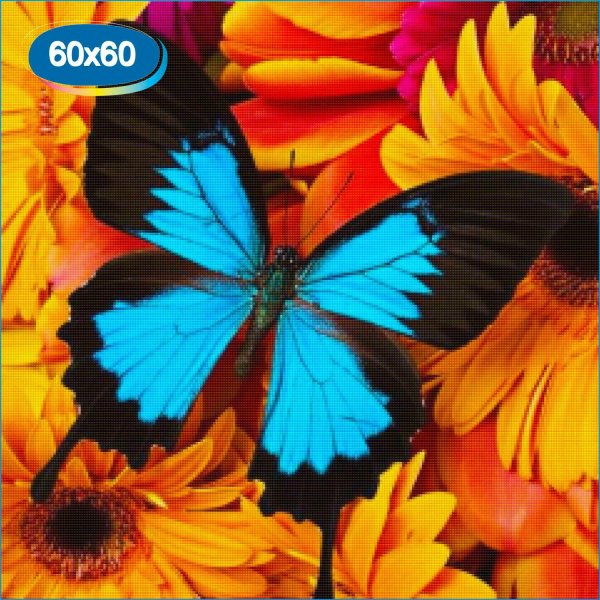 бабочка цветная