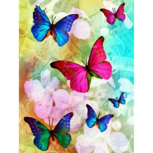 волшебные бабочки