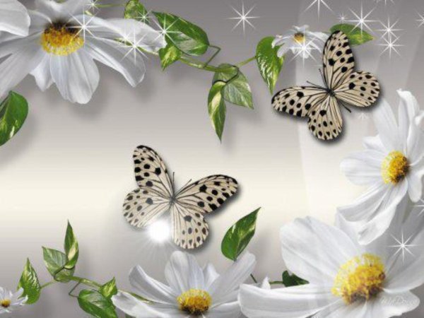 цветочные фоны