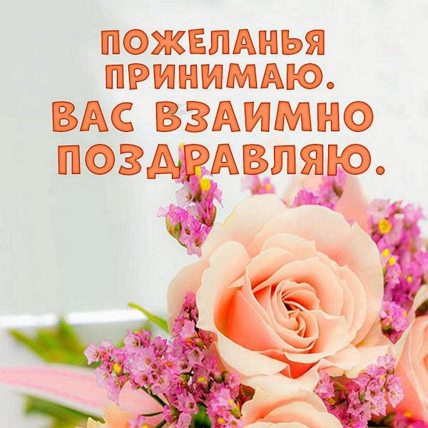 нежный цветок