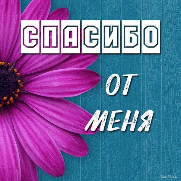 благодарю благодарю благодарю