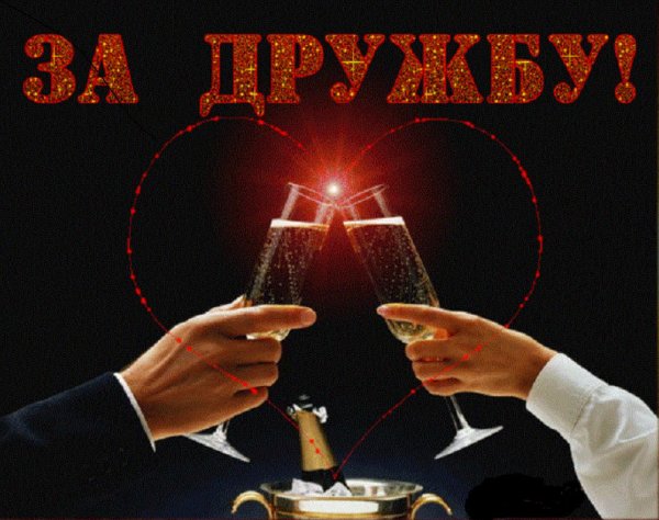 за дружбу