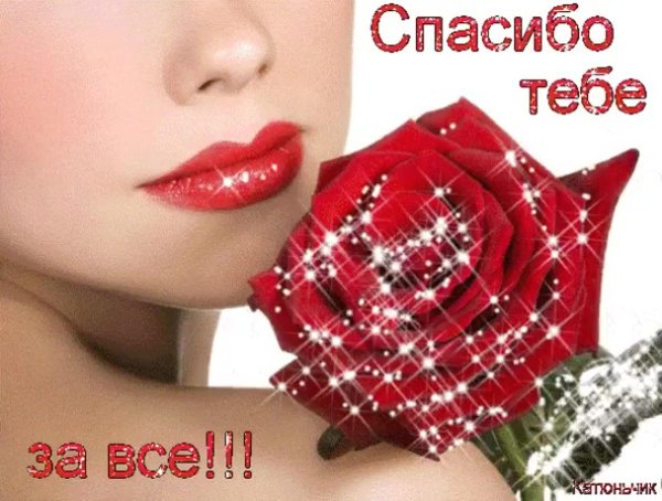 девушка роза