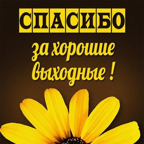 открытка благодарности