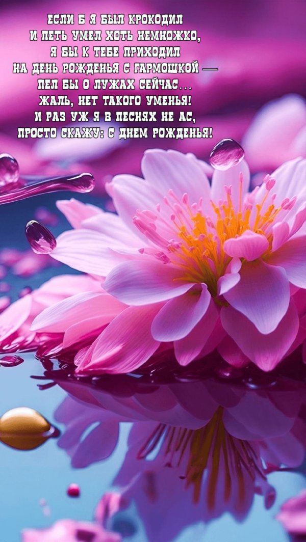 лотос красивый