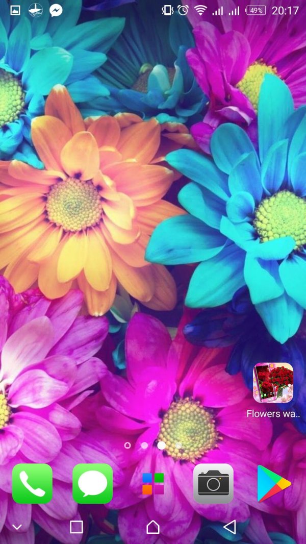 разноцветные цветы