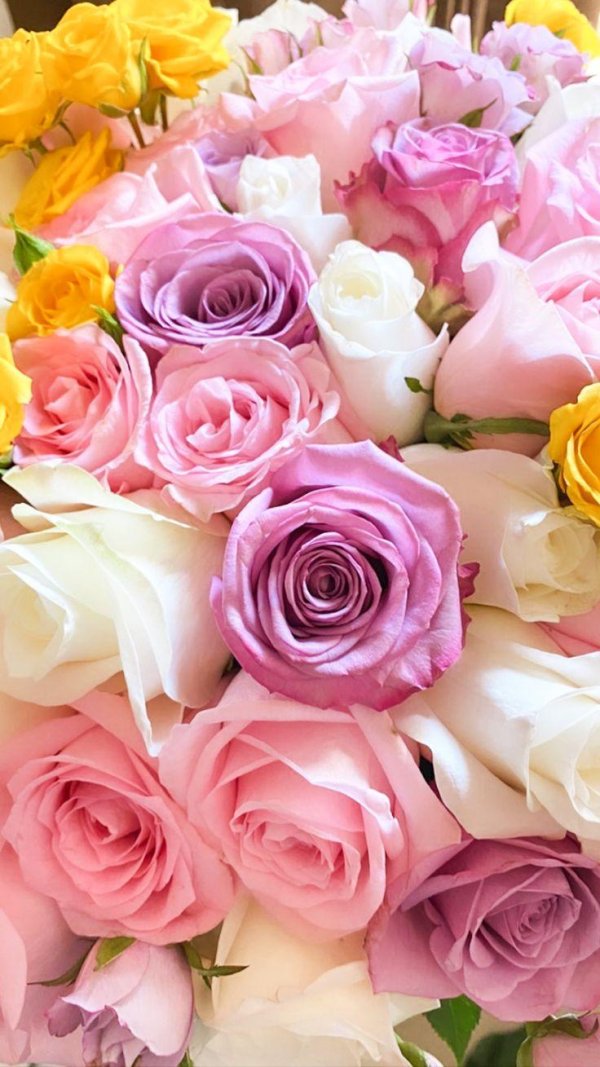 букет разных роз