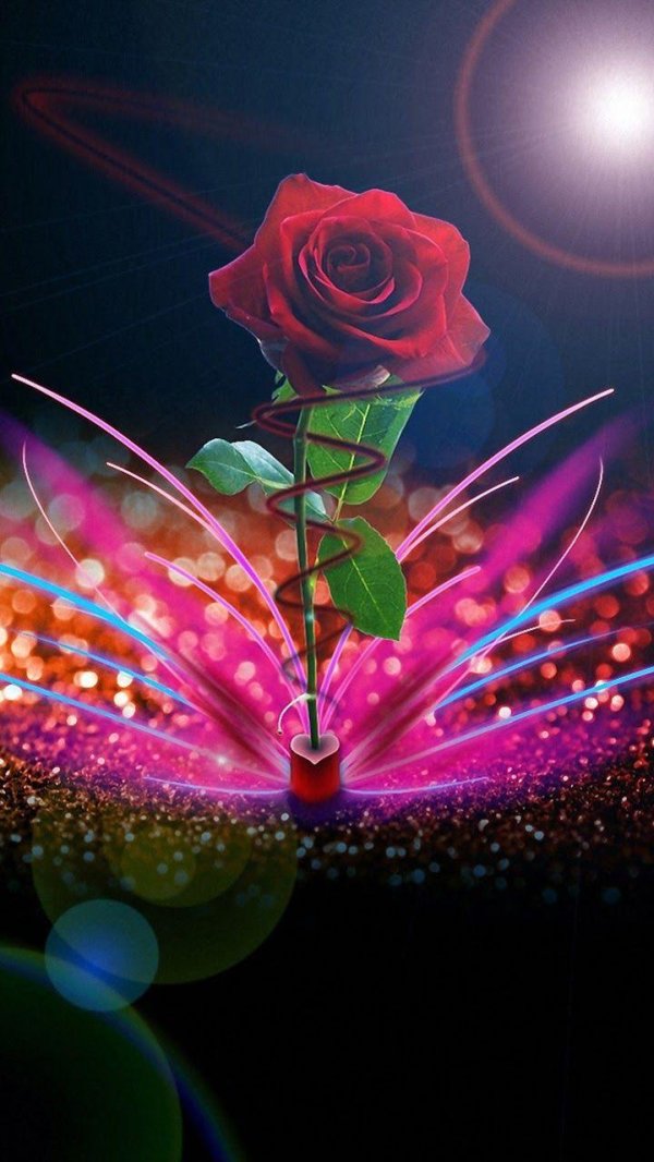 чудесные цветы