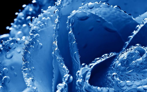 синего цвета