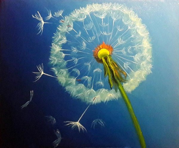 одуванчики рисунки