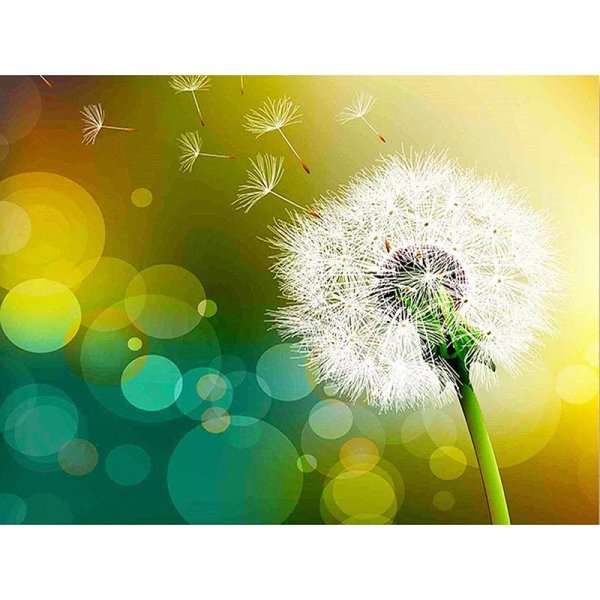 фон с одуванчиками