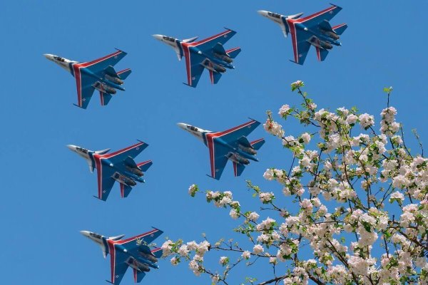 витязи пилотажная группа