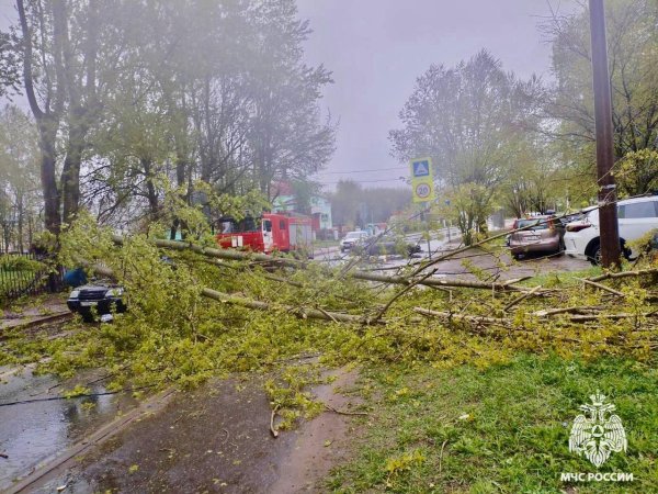 последствия урагана