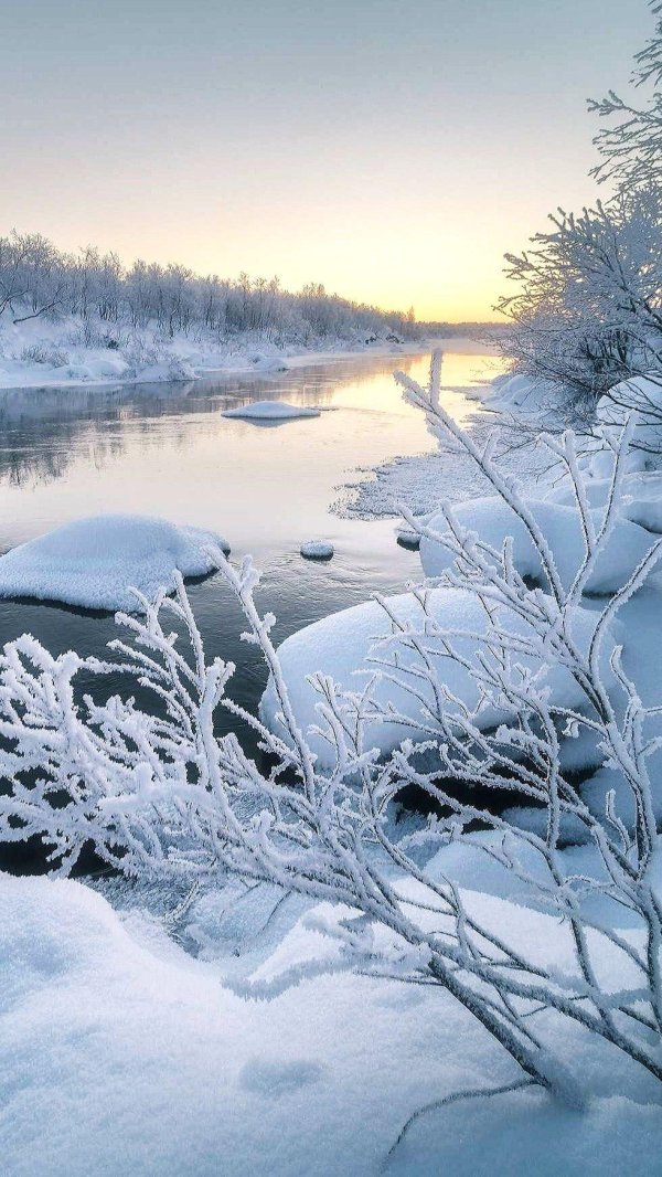 природа зимняя