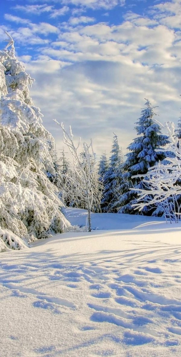 природа зимняя