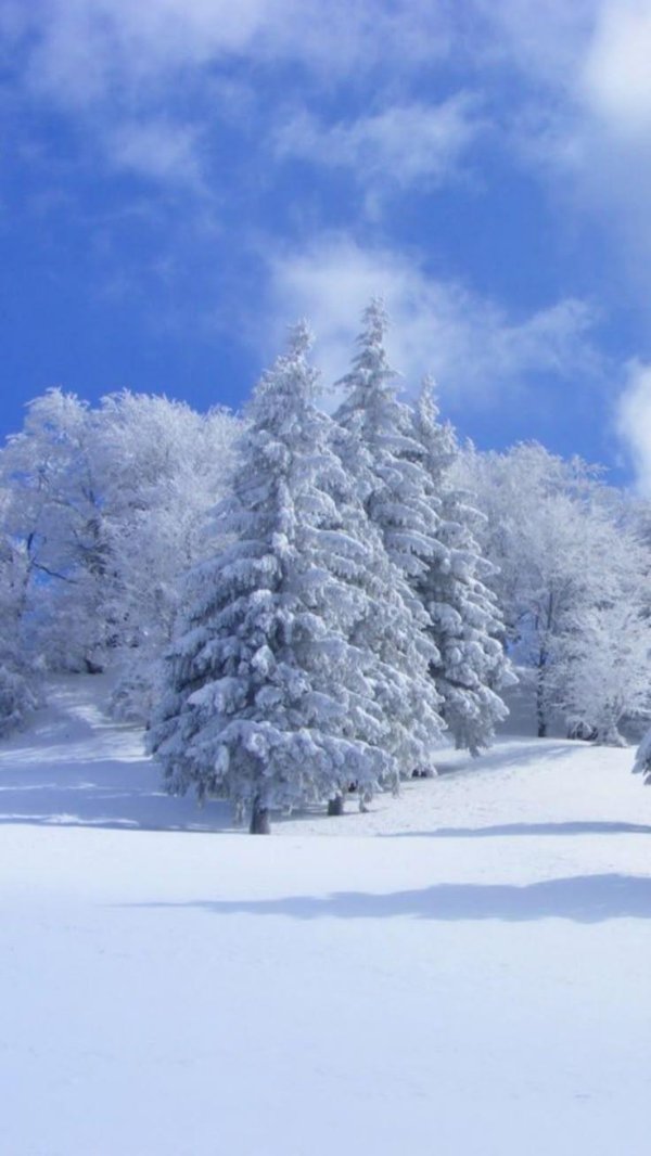 зимние картинки