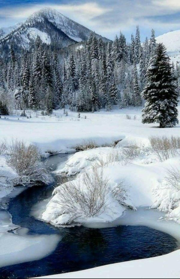 природа зимняя