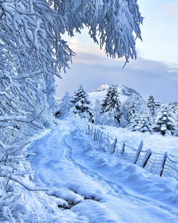 красивые зимние пейзажи