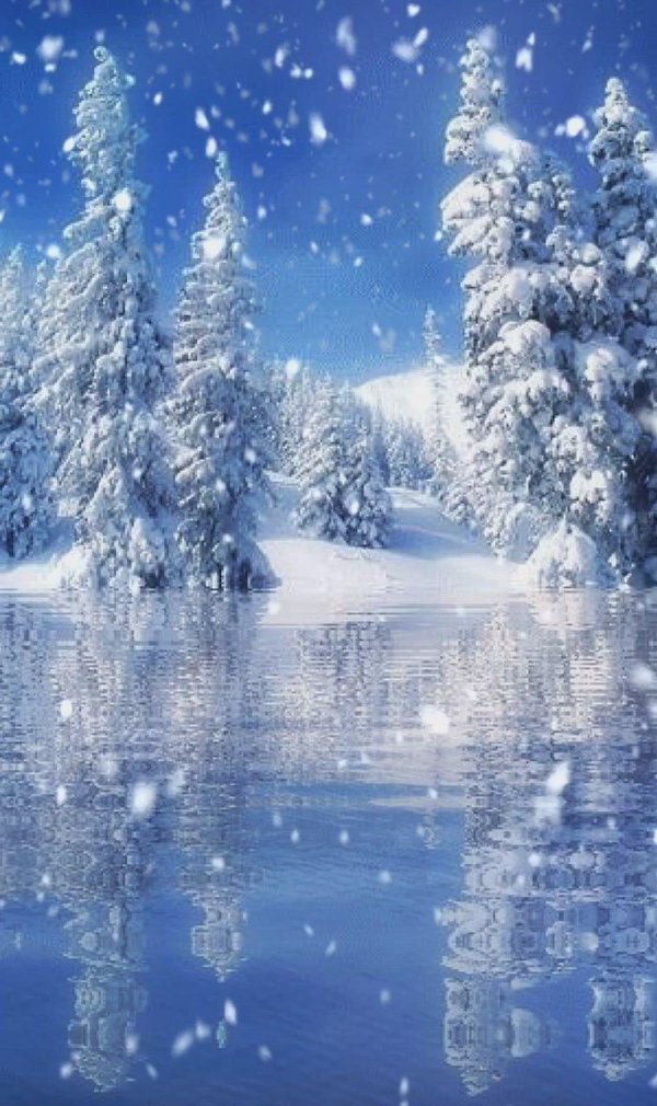 сказочный зимний лес