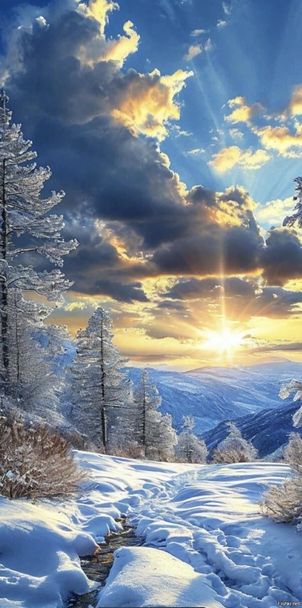 красивые пейзажи зимы