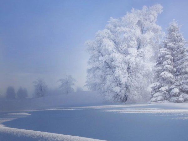 зимняя природа