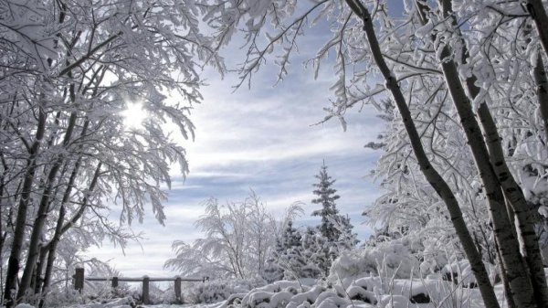 зимняя природа