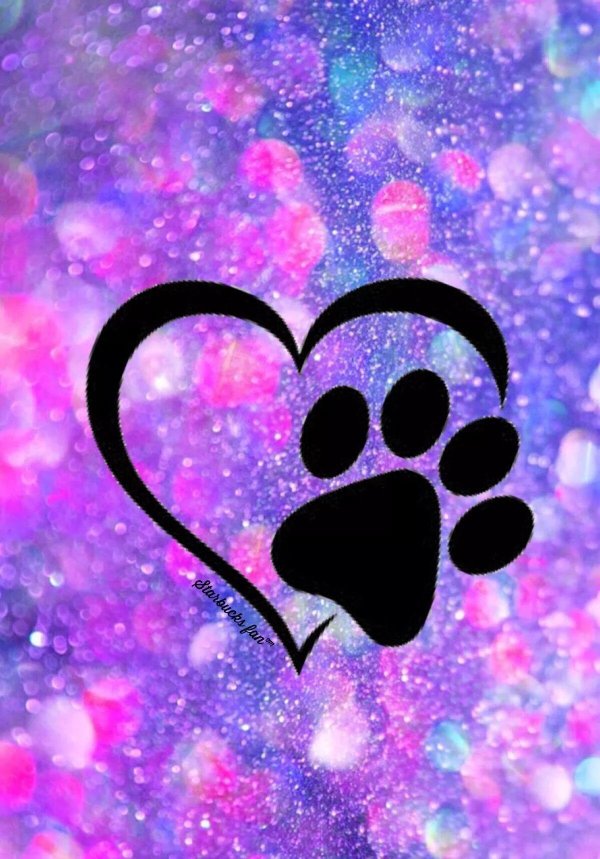 отпечаток лапы собаки