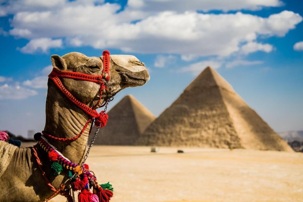 египет отдых
