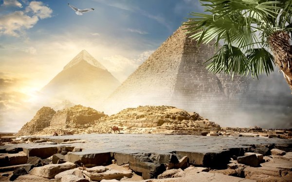 пирамиды египта кайро