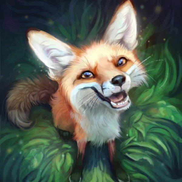 лисица арт
